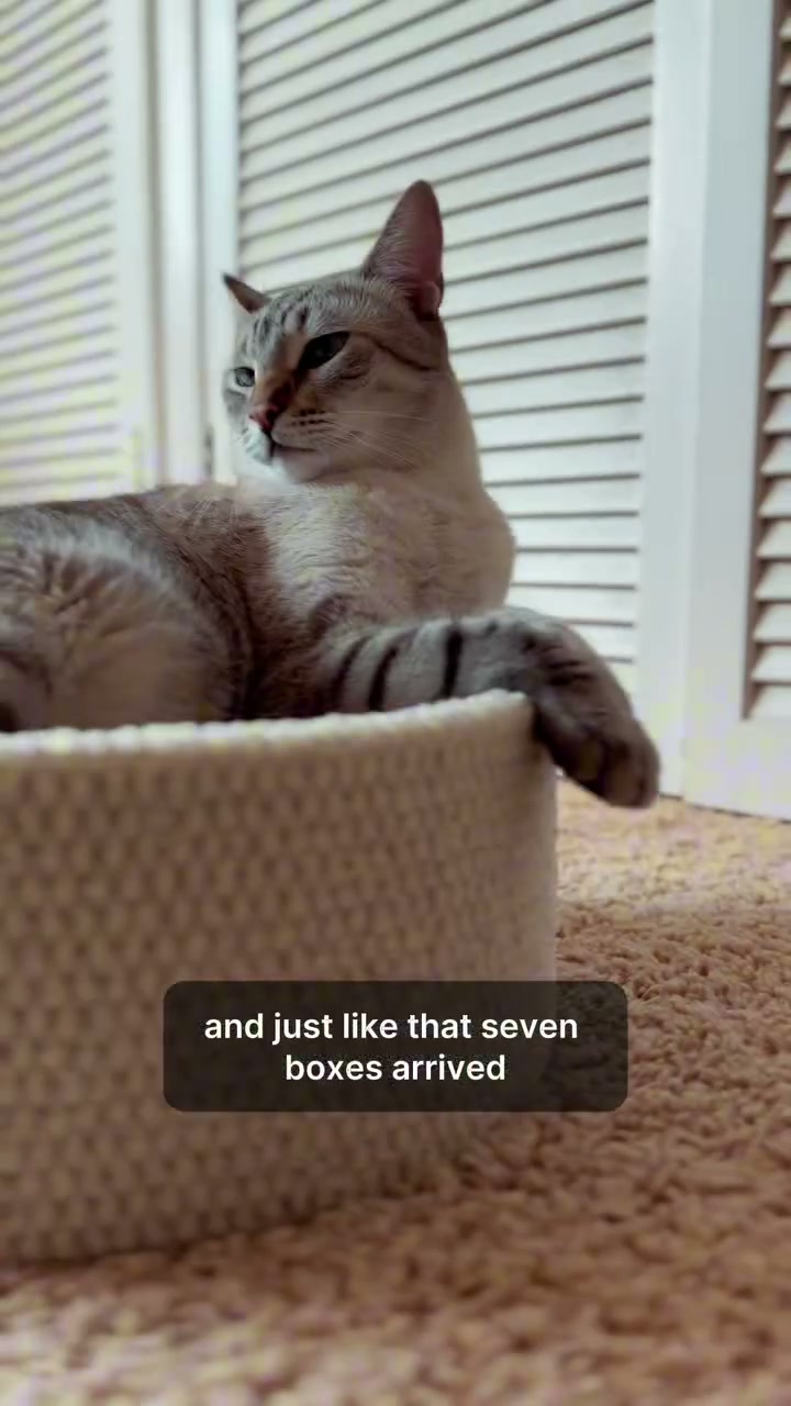 A still from @asher_fitfeline’s Catterpod film
